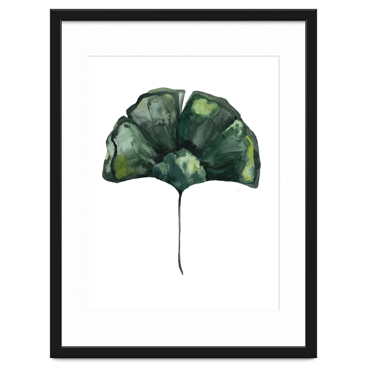Botanical Illustration Ginko
