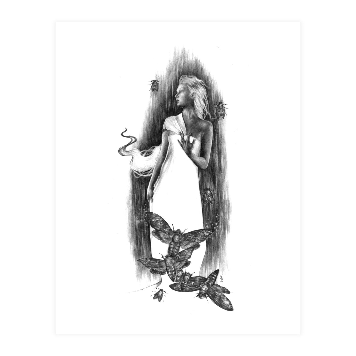 The Moth (Print Only)