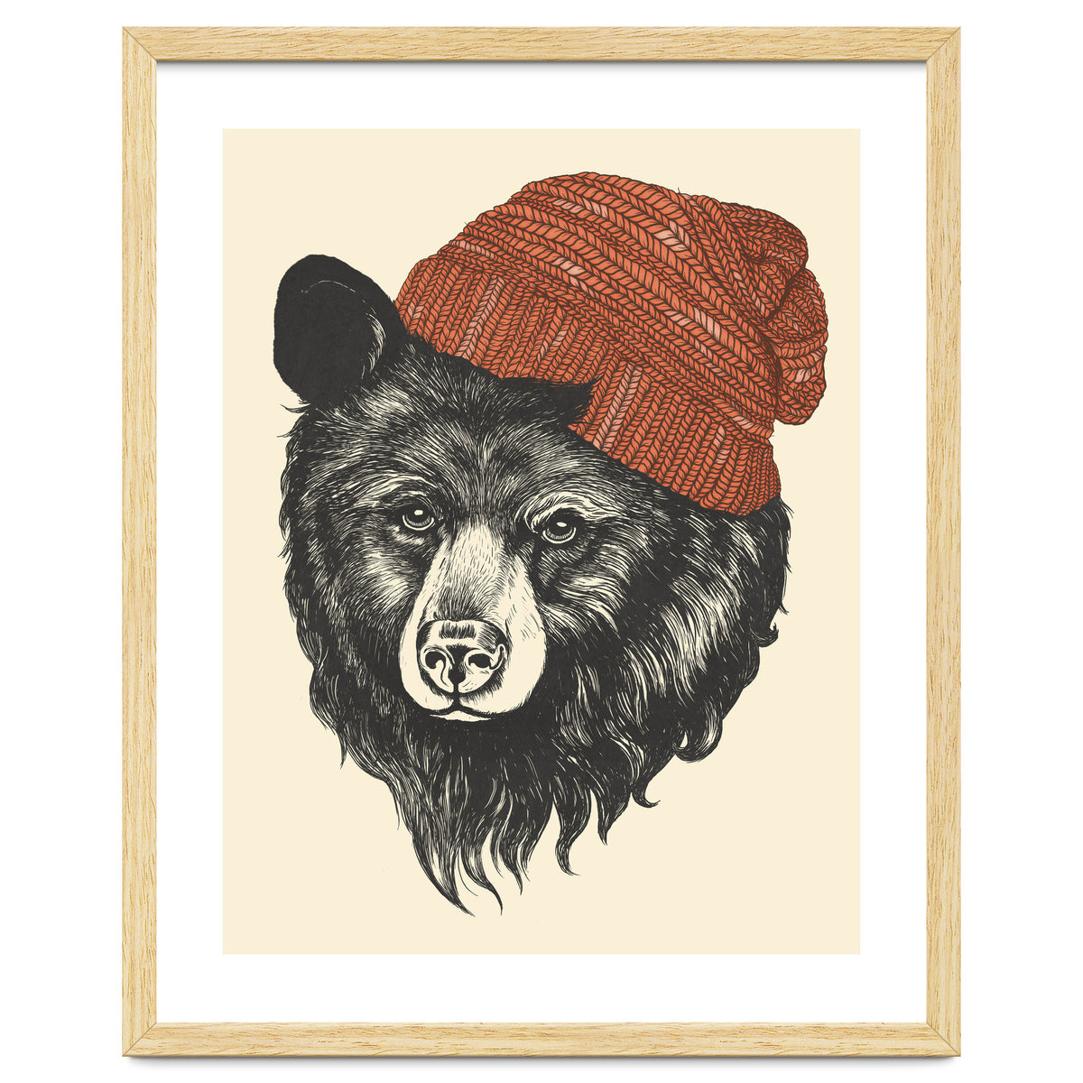 Zissou The Bear