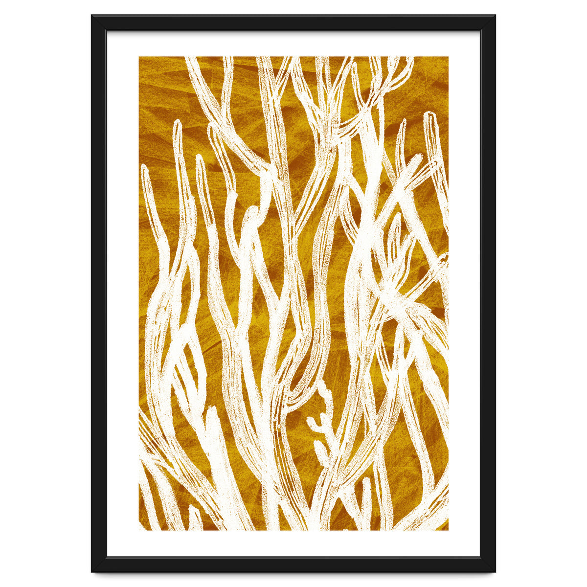 Desert Colours Collection 1