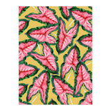 Caladium, Botanical Tropical Nature Plants, Vintage Bohemian Exotic Blush Leaves (Print Only) thumbnail