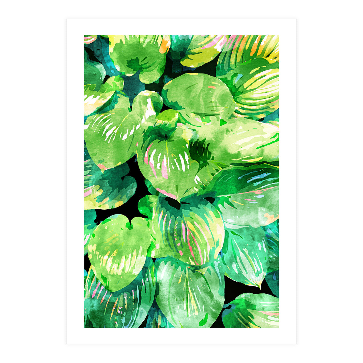 Colors Of The Jungle (Print Only)