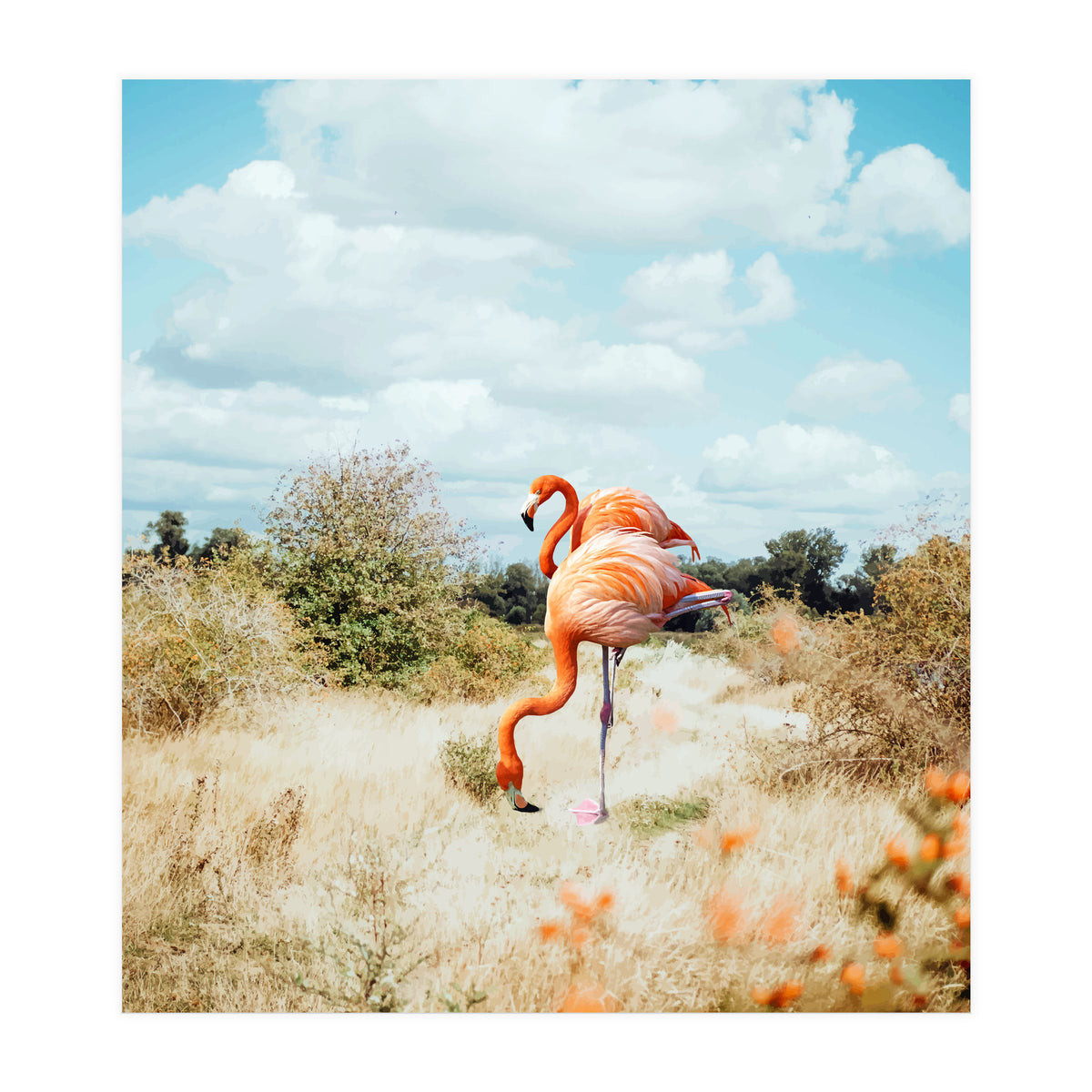 Flamingo Couple (Print Only)