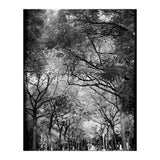 Cemetery alley (Print Only) thumbnail