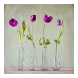 Tulips (Print Only) thumbnail
