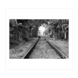 Colombo, Sri Lanka (Print Only) thumbnail