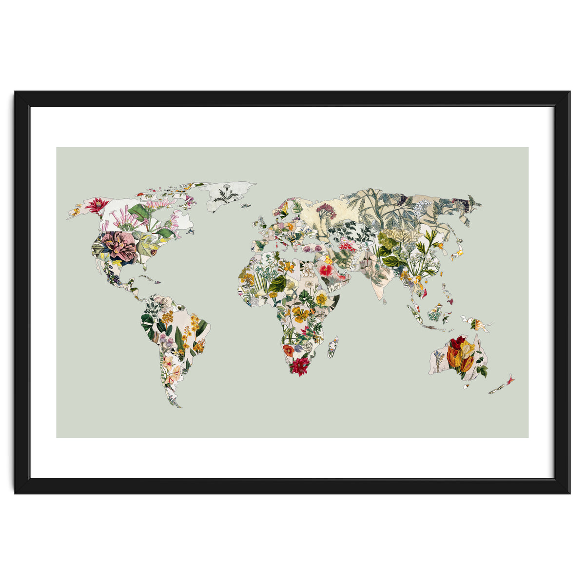 Vintage Botanical Map - Green