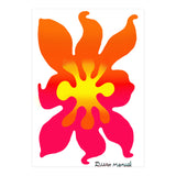 Fuego 70 Copia (Print Only) thumbnail
