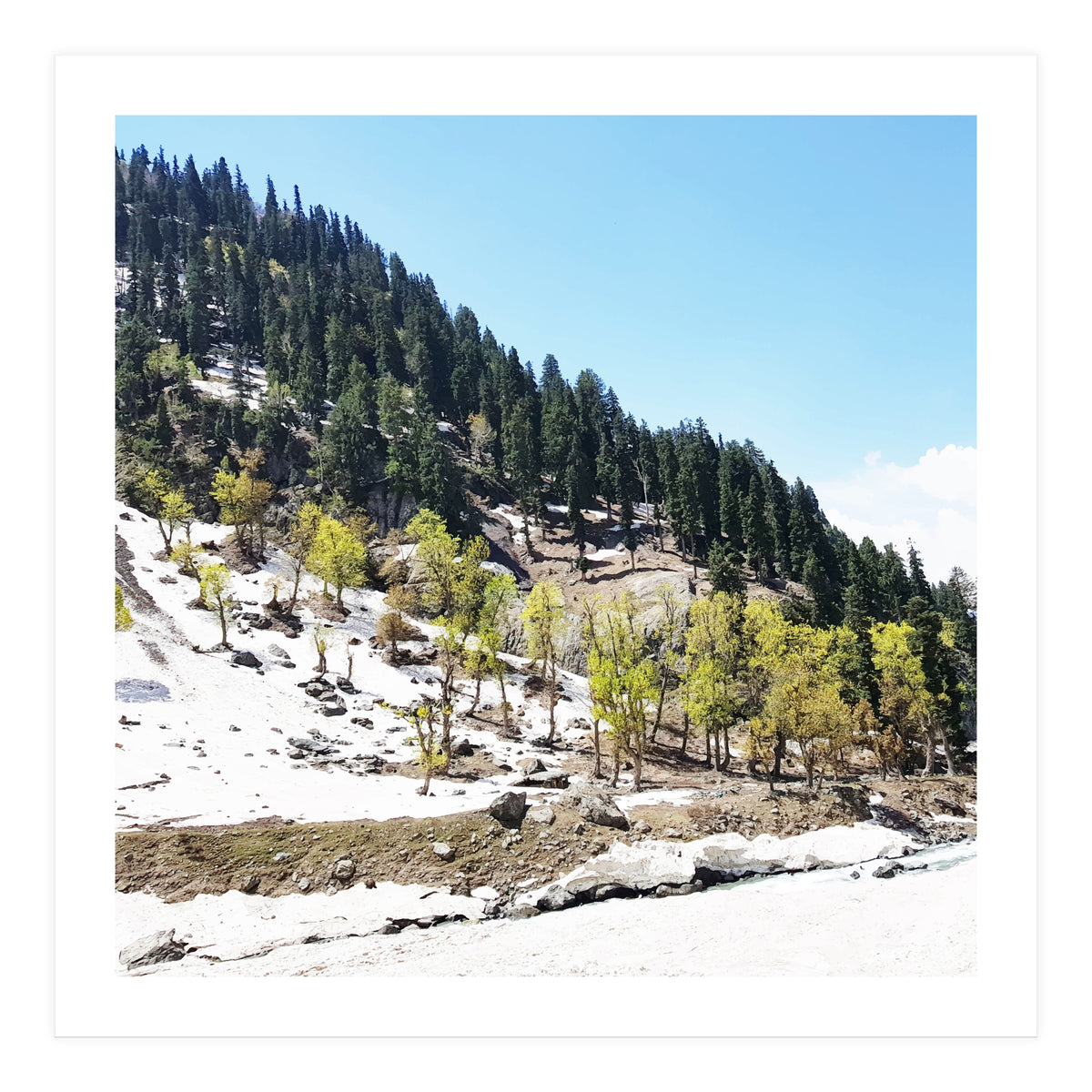 Kashmir V2 (Print Only)