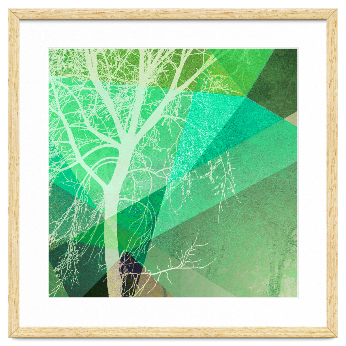 P22-B3 Trees And Triangles