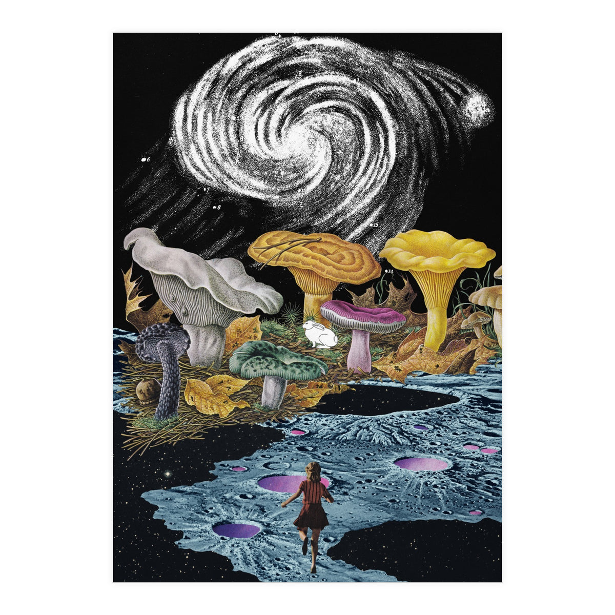 Follow The White Rabbit (Print Only)