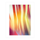Carnival 2 (Print Only) thumbnail