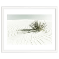 WHITE SANDS Idyllic scenery | Vintage