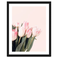 Pink Tulips