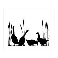Goose talk too (Print Only)