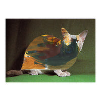 Color Cat (Print Only)