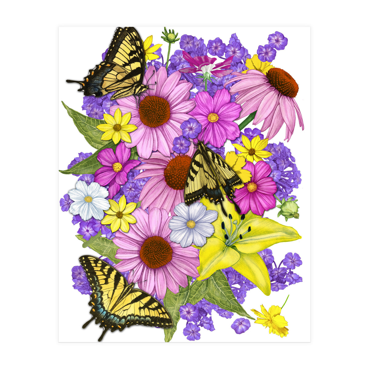 Corn Flowers and Swallowtails (Print Only)