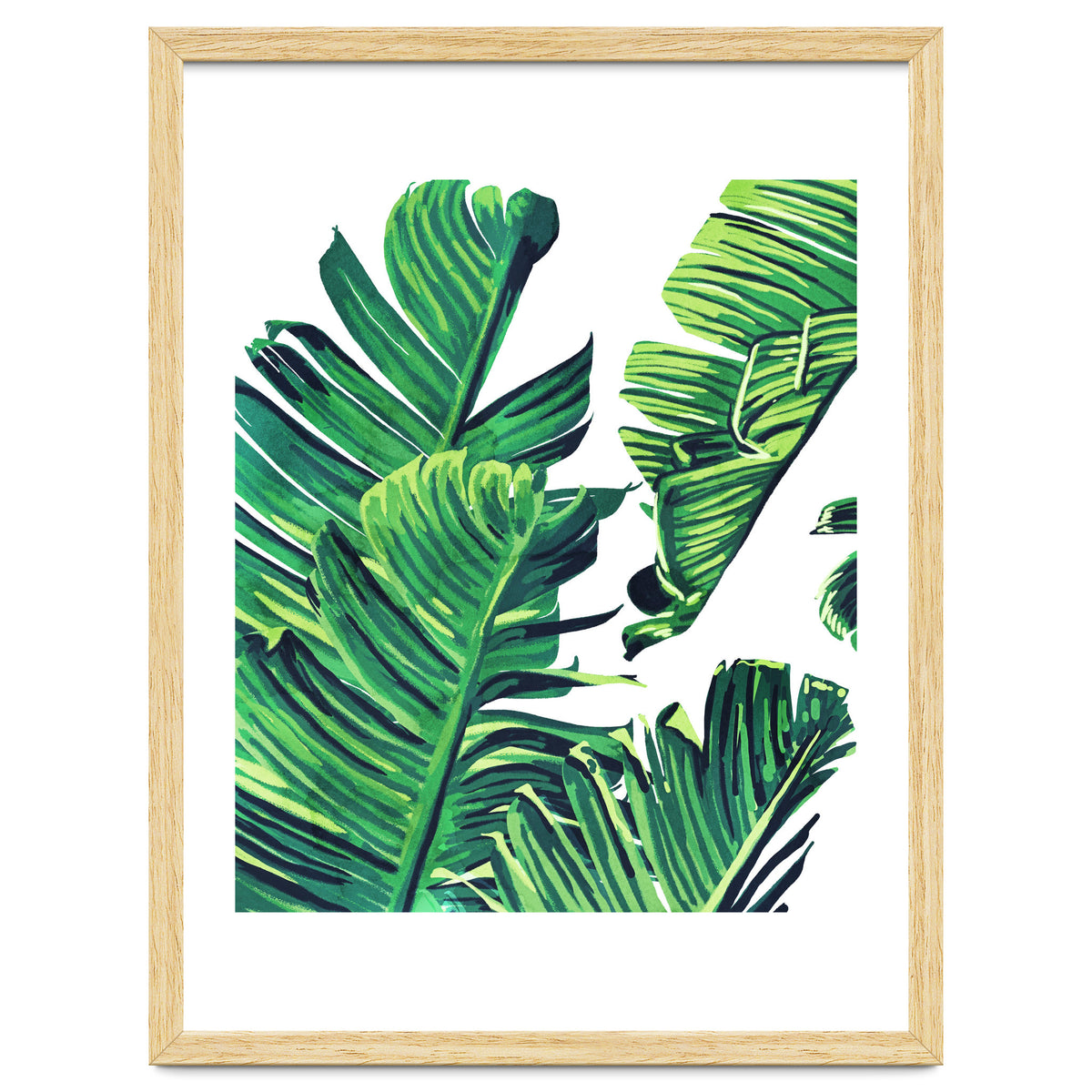 Banana Tree Leaves