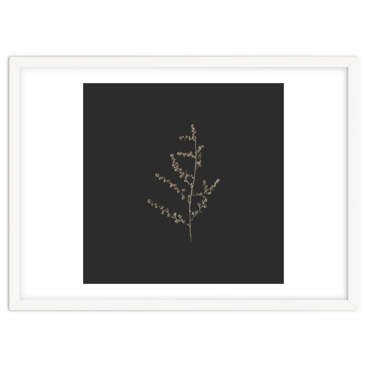 Dainty Botanicals in Gold and Black - Square