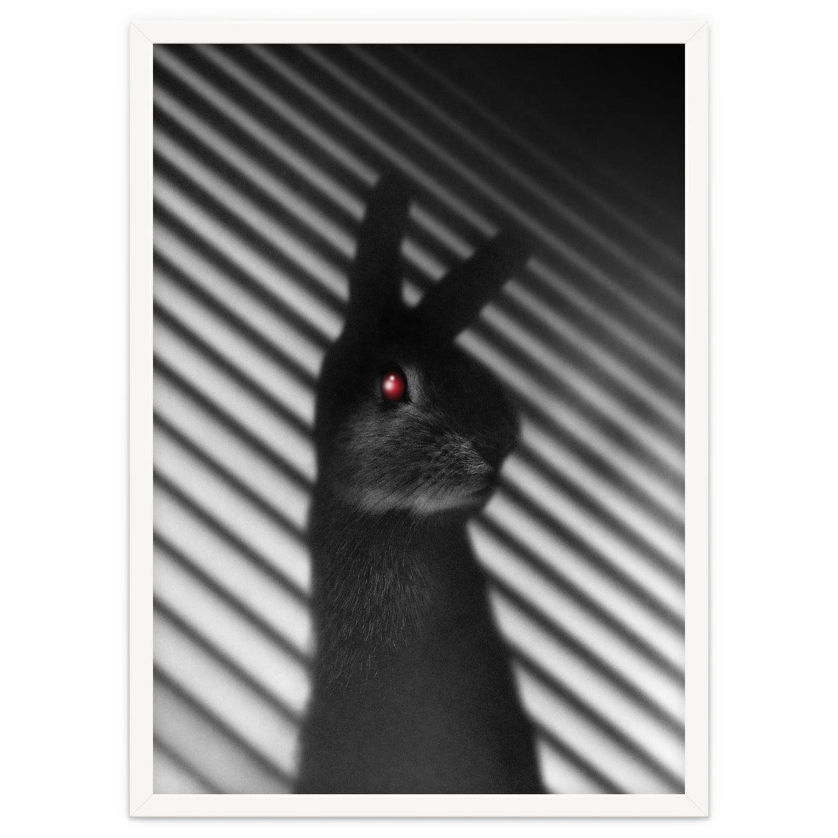 Shadow Bunny