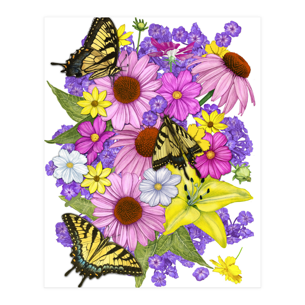 Corn Flowers and Swallowtails (Print Only)
