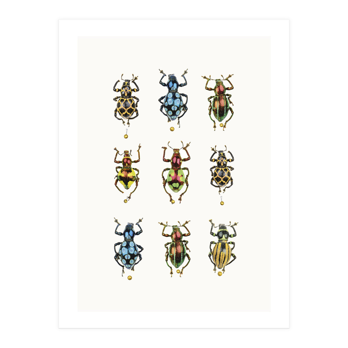 Cc Insects 05 (Print Only)