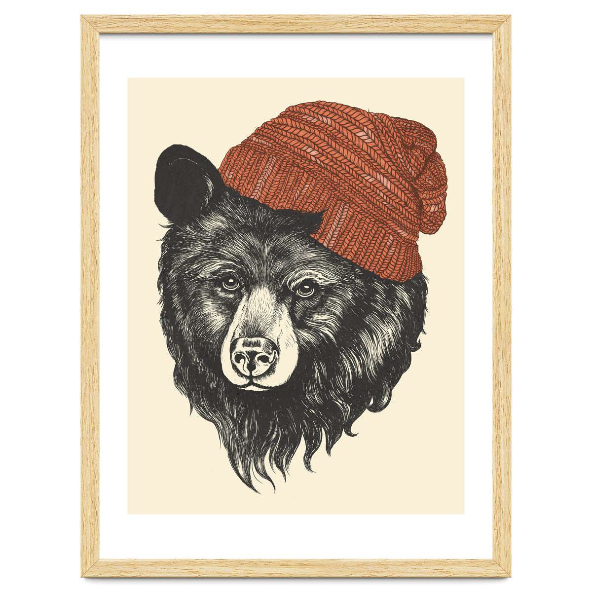 Zissou The Bear