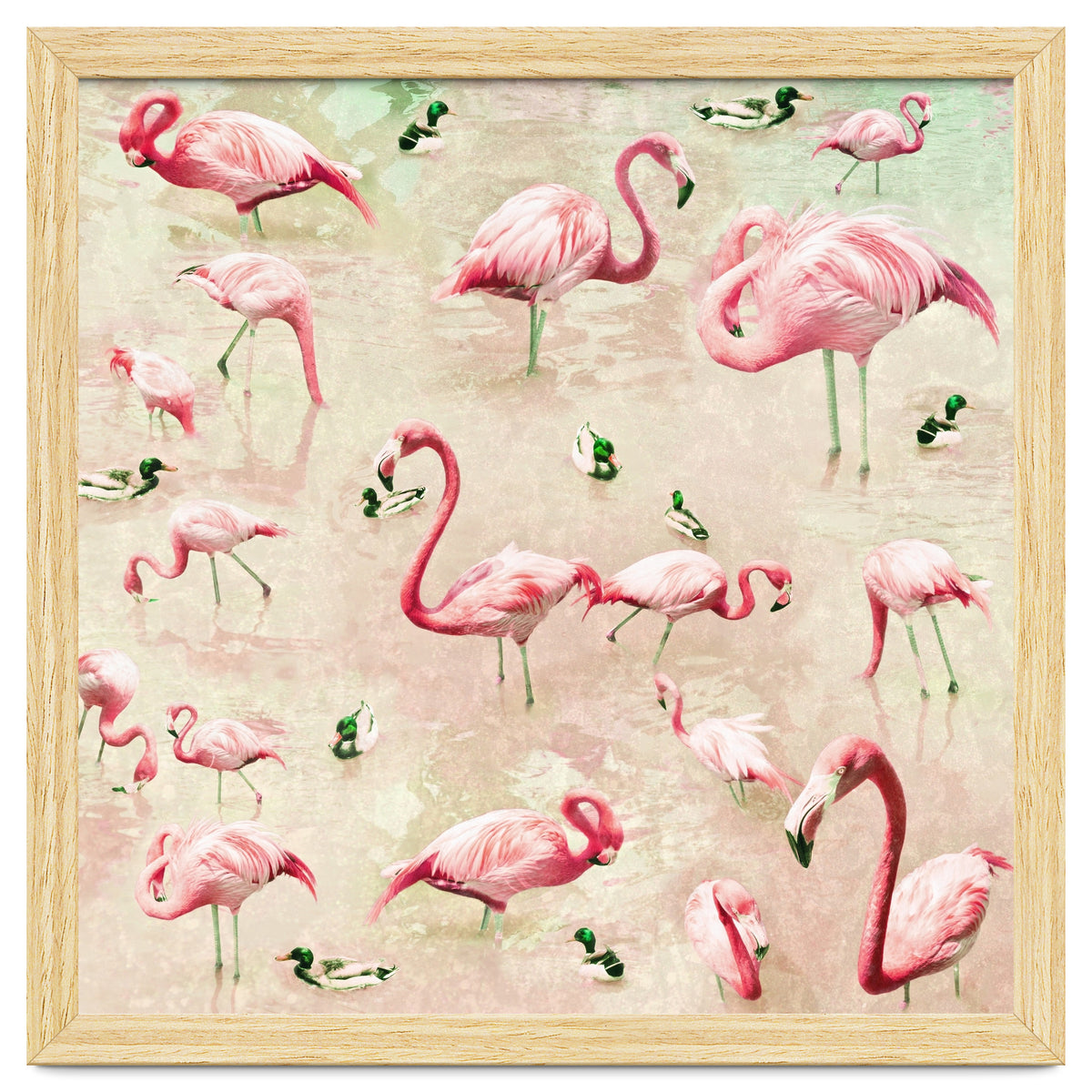 Flamingos Vintage Pink