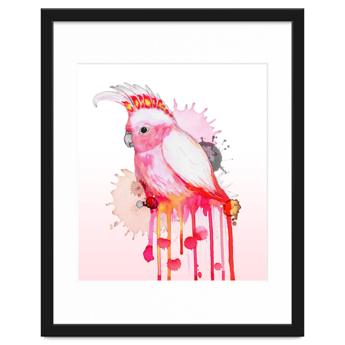 Major Mitchell's cockatoo