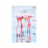 Flamingo Pink (Print Only) thumbnail