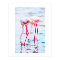 Flamingo Pink (Print Only)