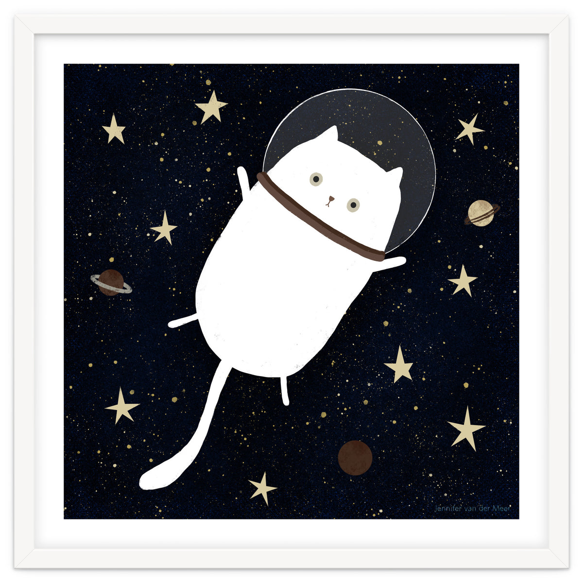 Cat 32: Cats in space!