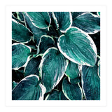Sacred Edge (Print Only) thumbnail