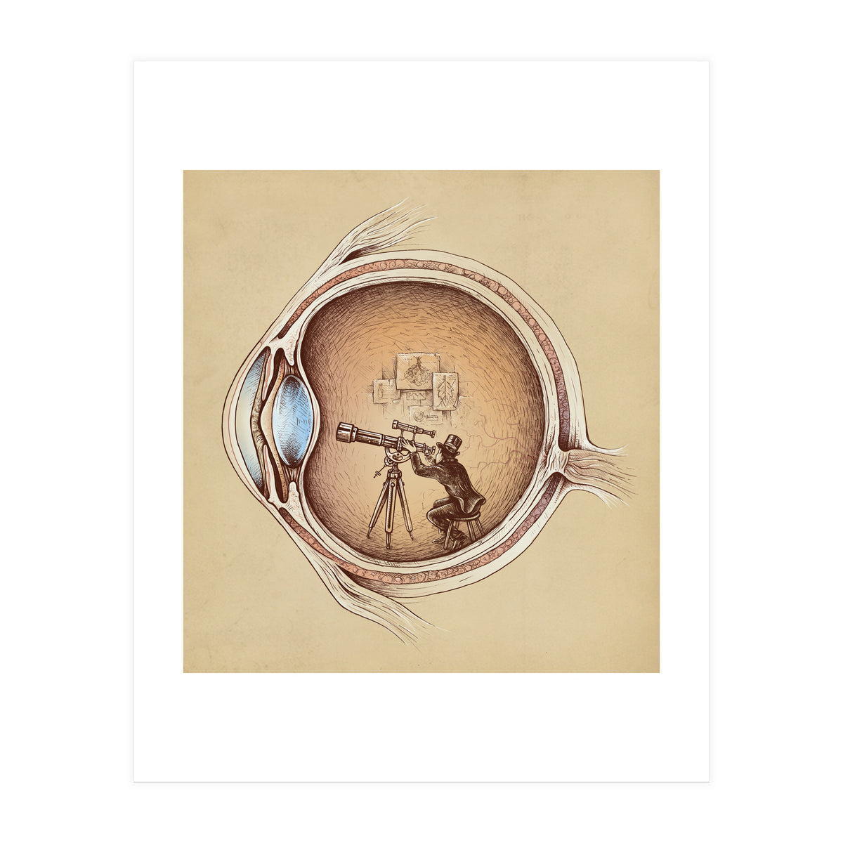 Extraordinary Observer (Print Only)