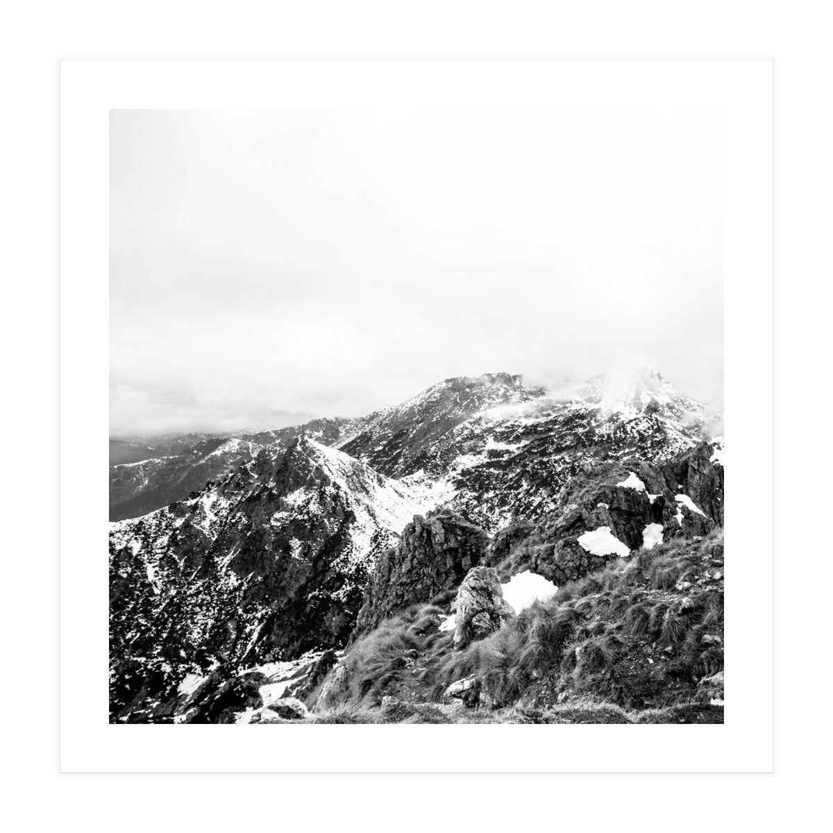 46 (Print Only)