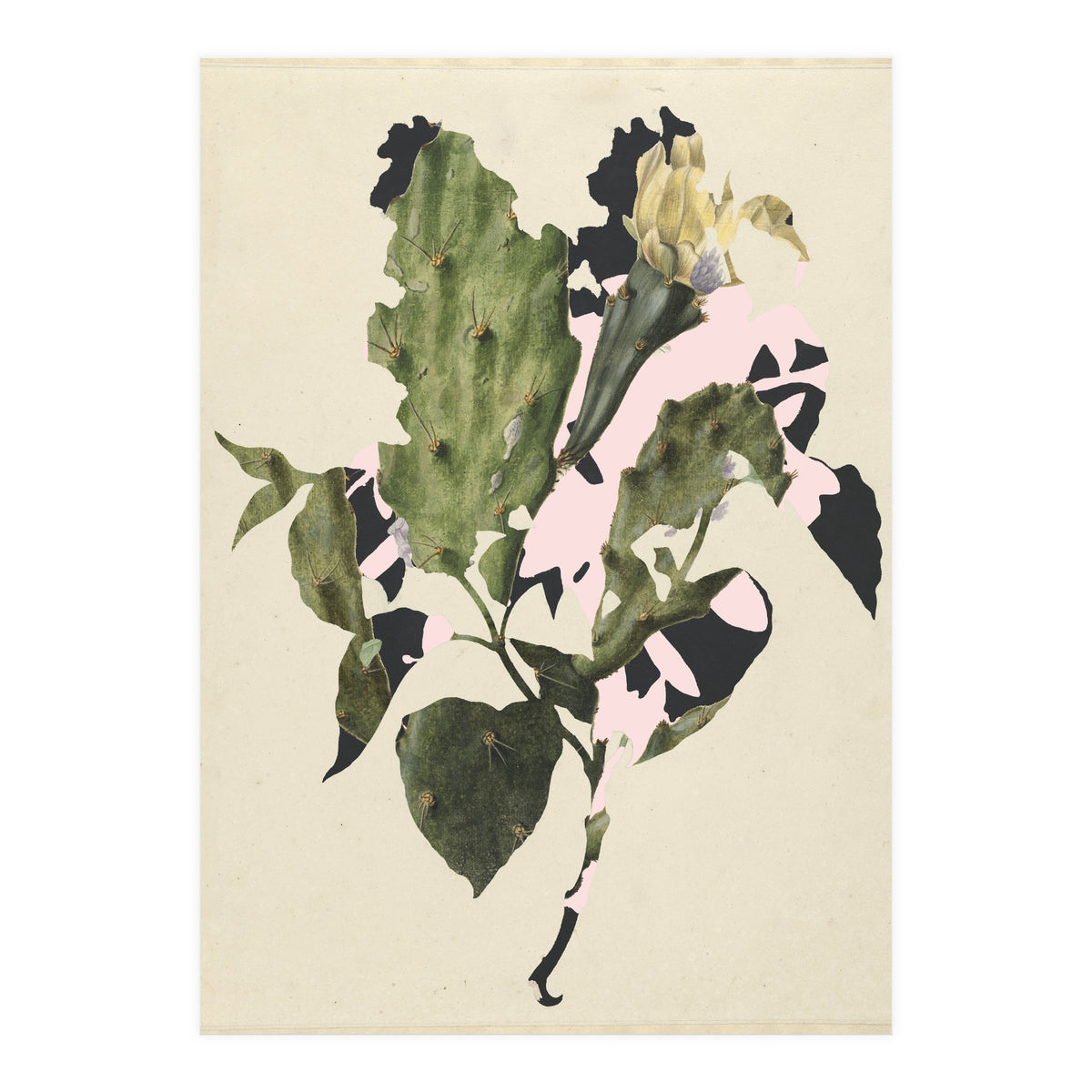 The First Plant · E3 (Print Only)