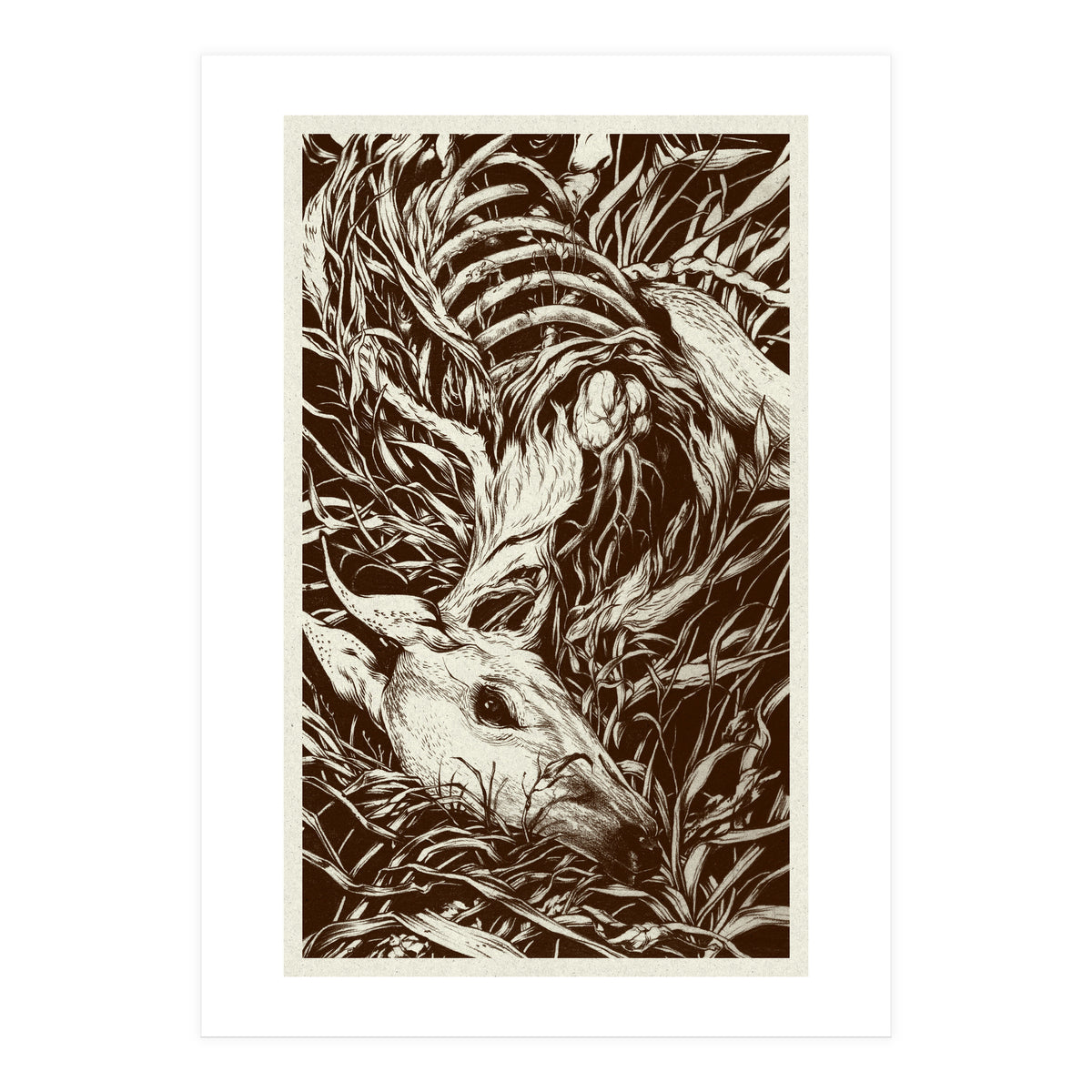 Doeeyed (Print Only)