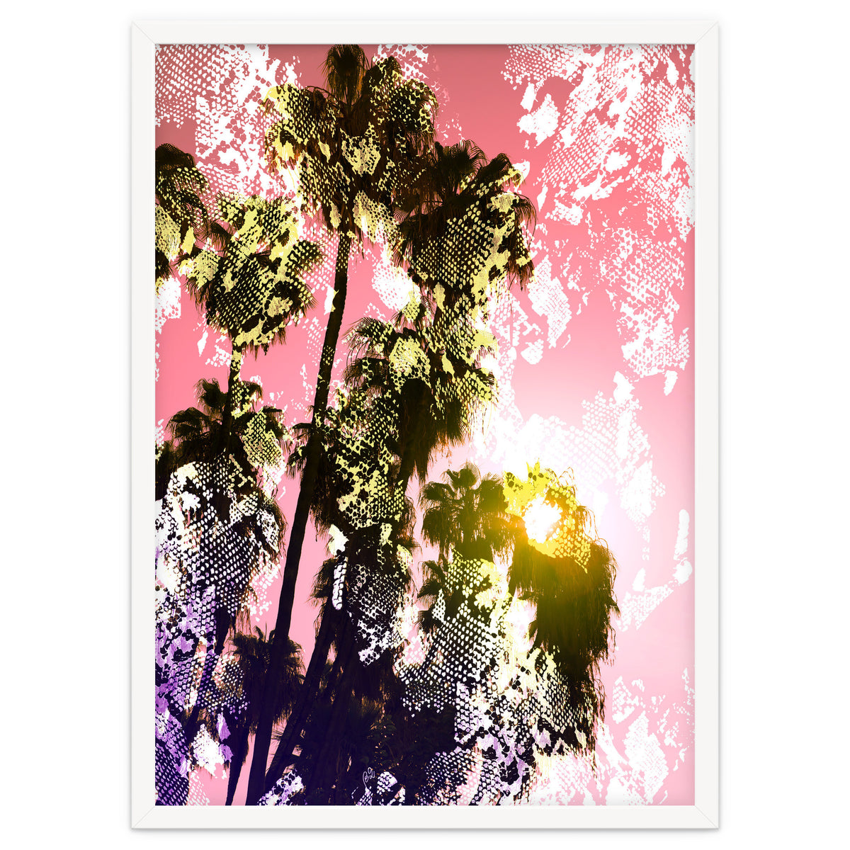 Snake sunset in paradise