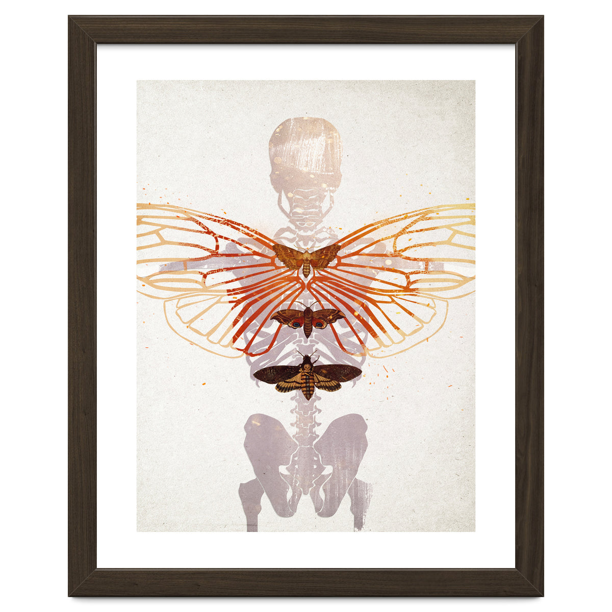 Ikarus - Like a Moth to the Flame