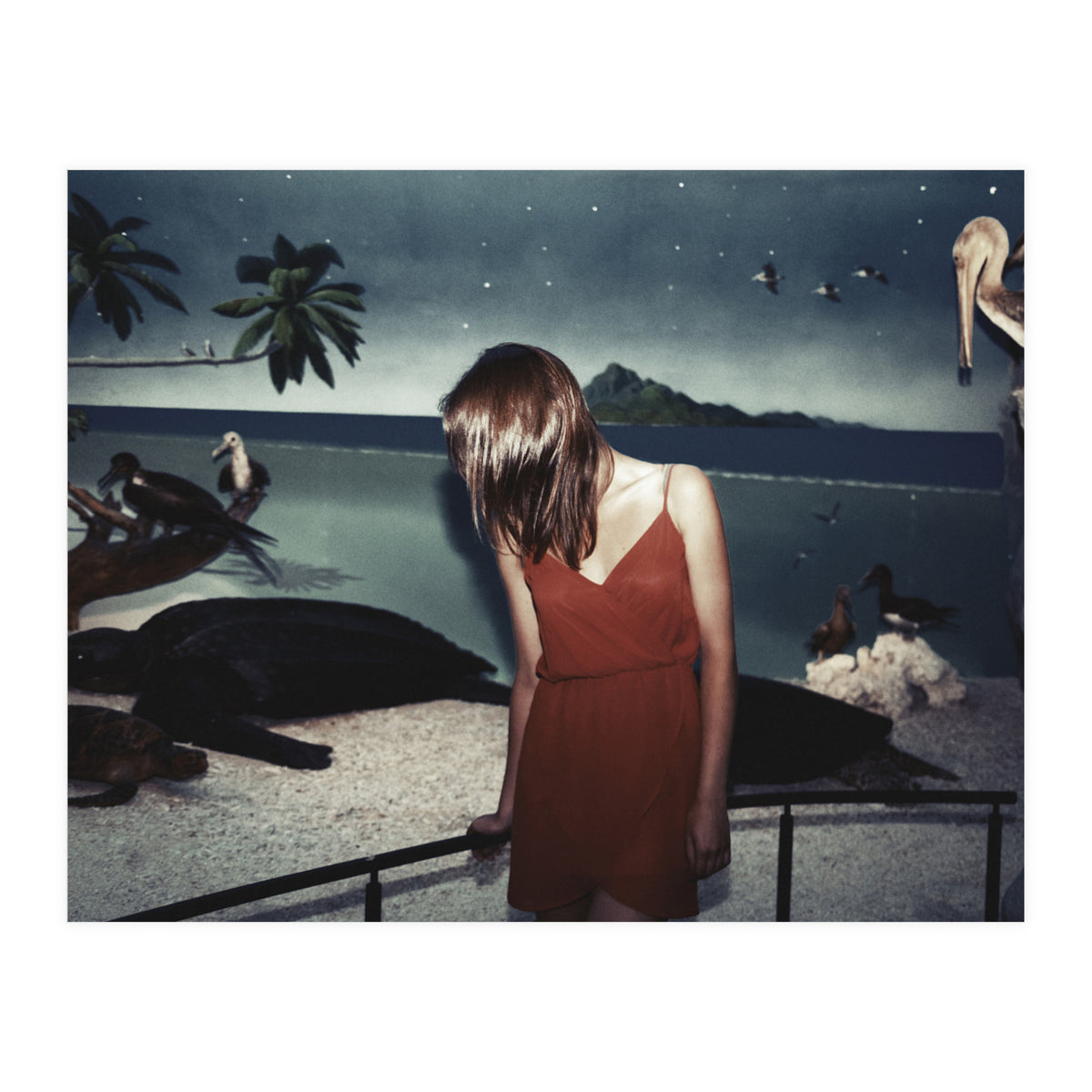 Galapagos (Print Only)