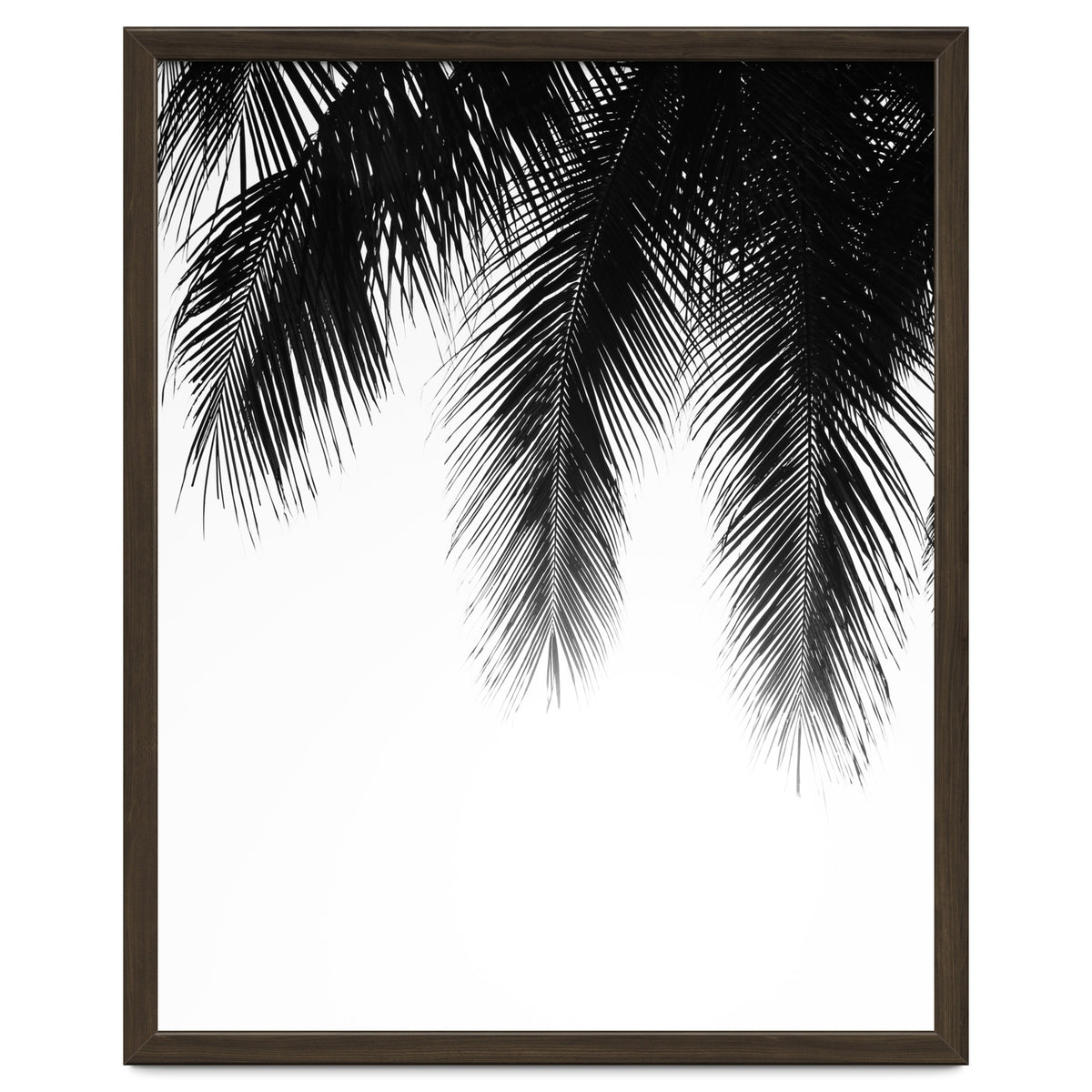 Palm leaves