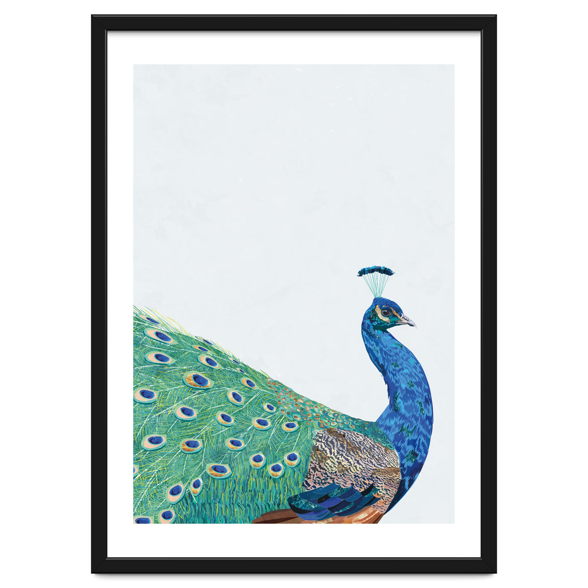 Peacock Portrait