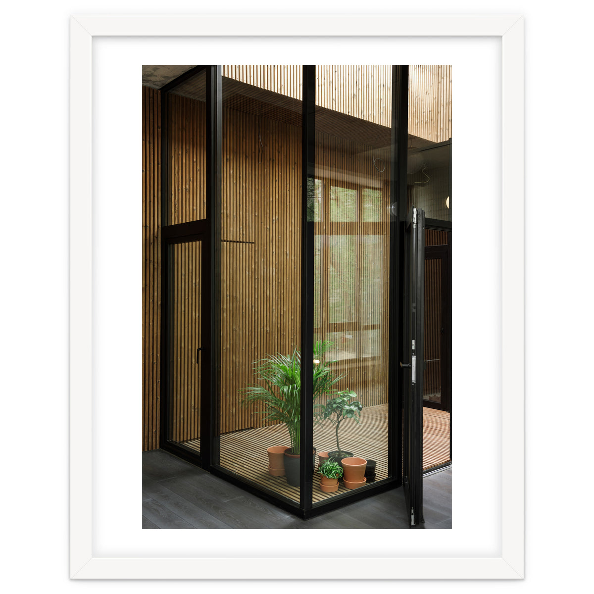 Public Place at my House