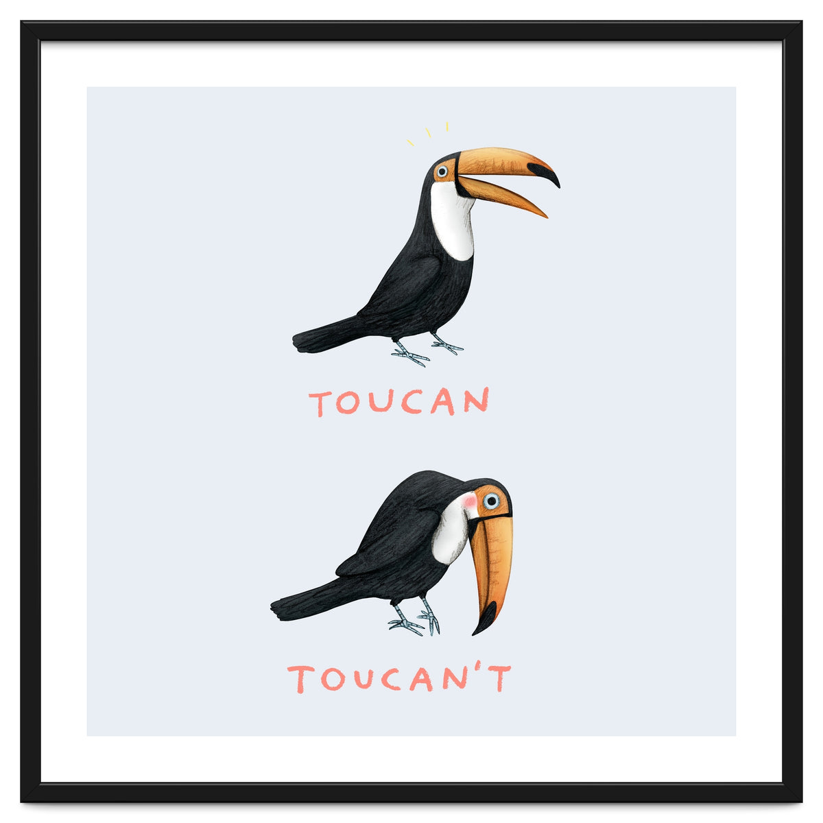 Toucan Toucan't