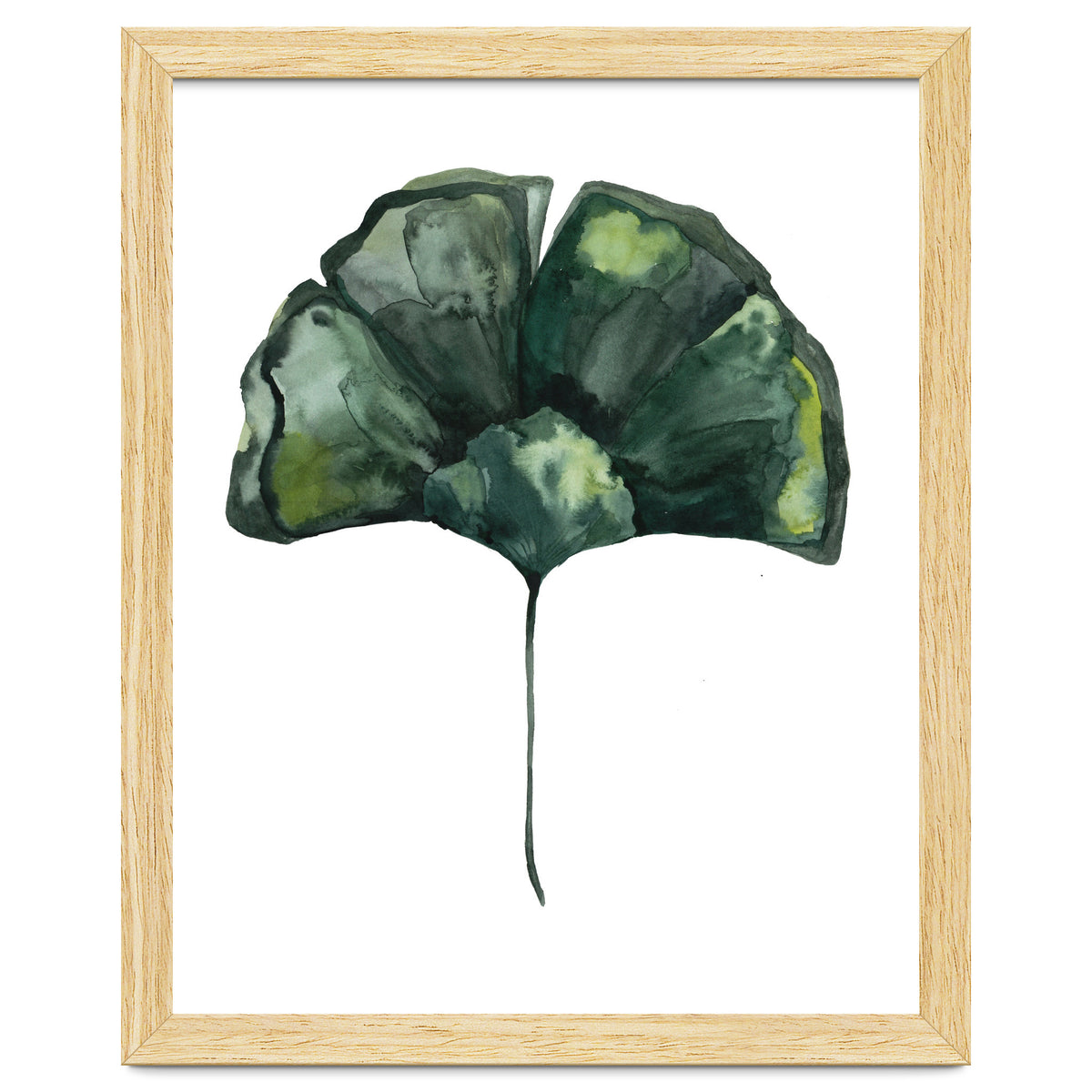 Botanical Illustration Ginko