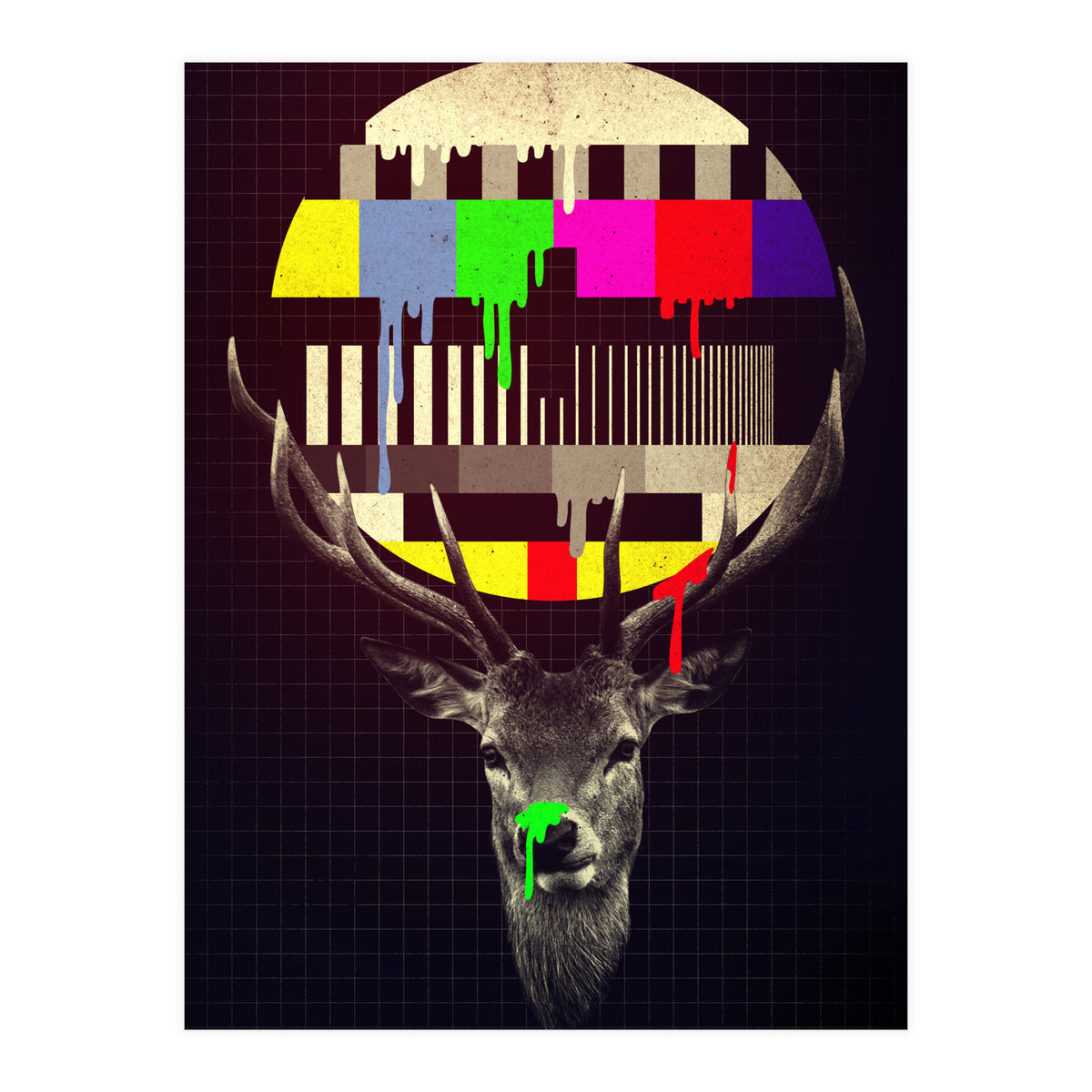 No Signal (Print Only)