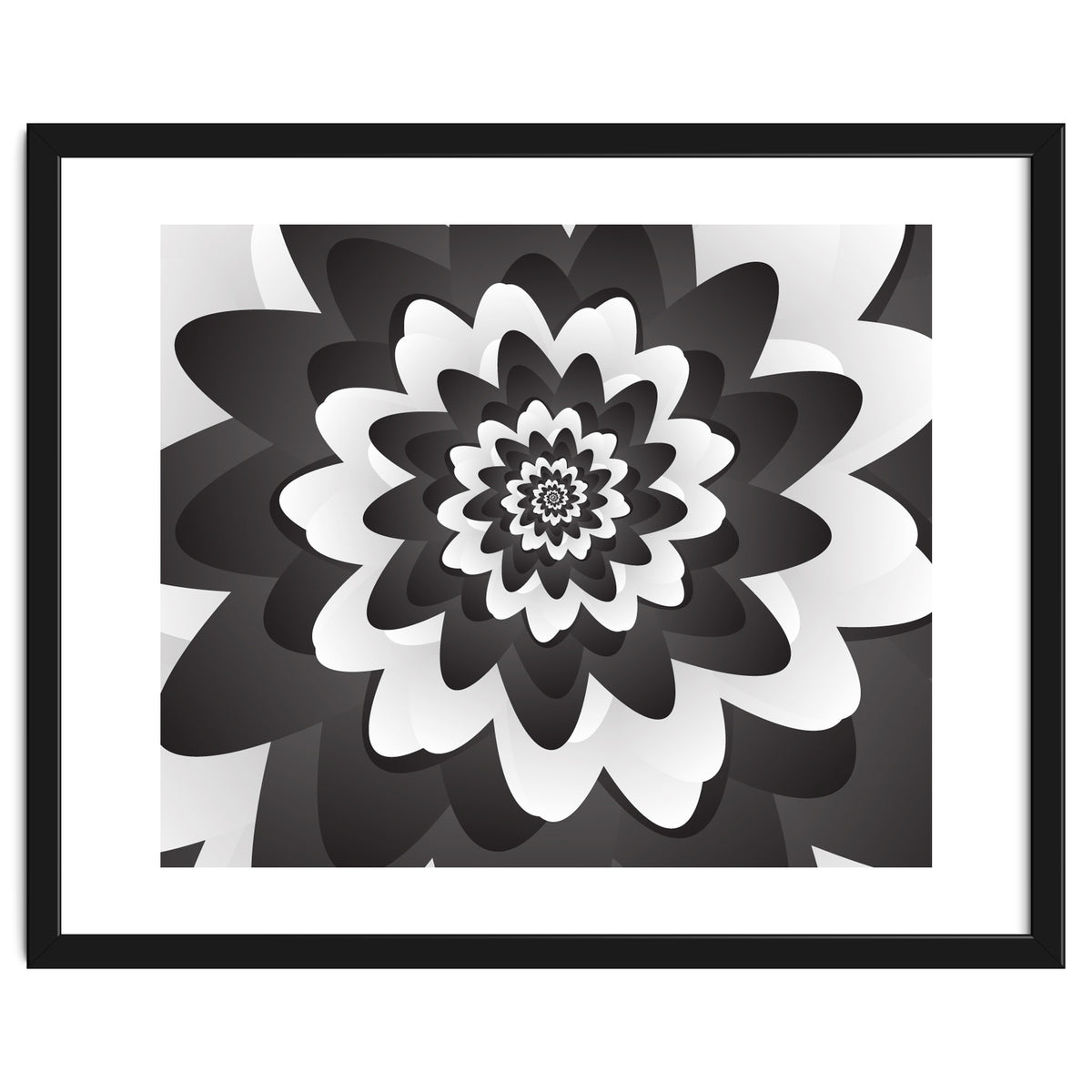 Mono Chrome Flower Spiral Pattern