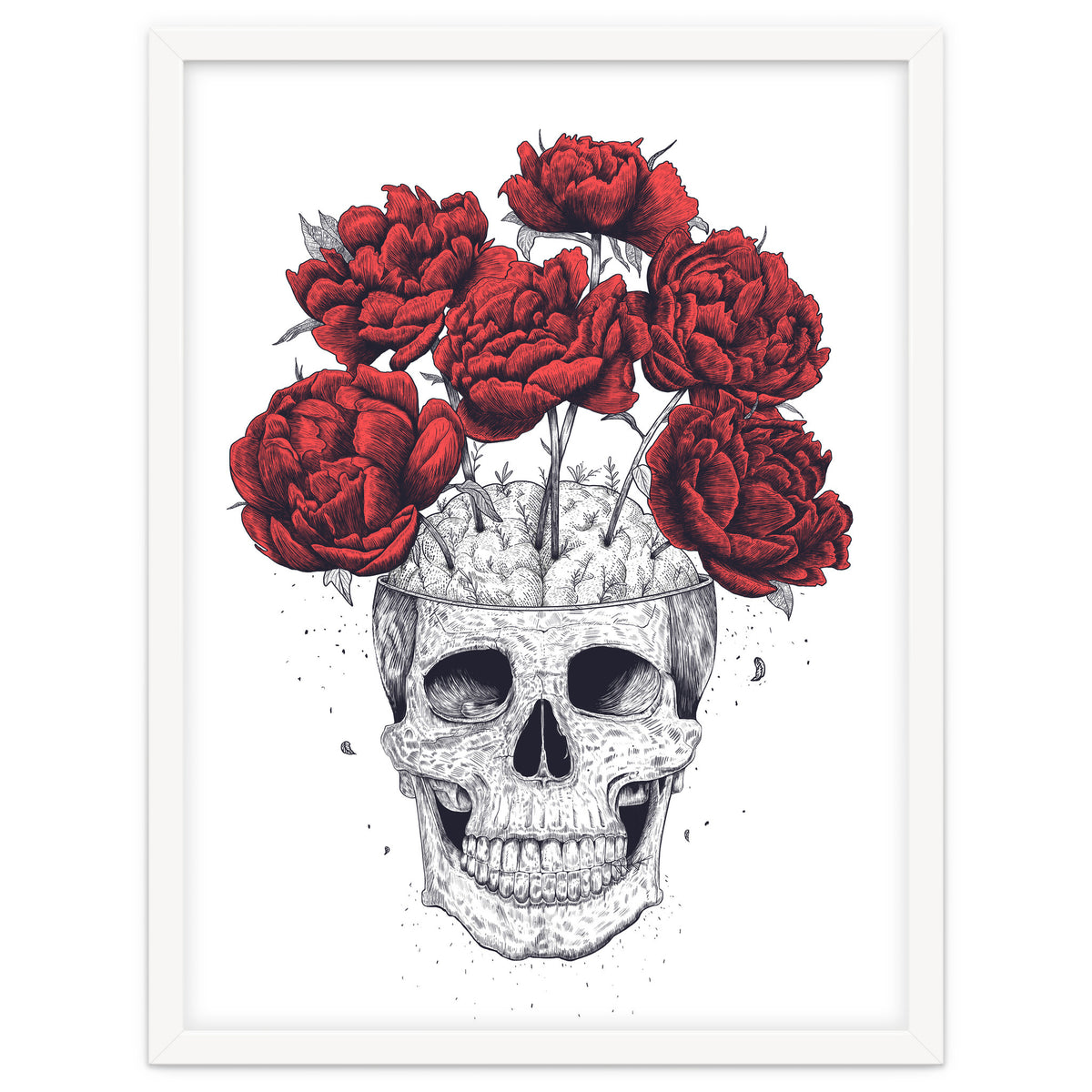 Skull With Peonies