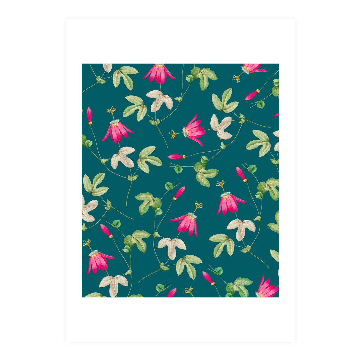 Art Of Nature (Print Only)