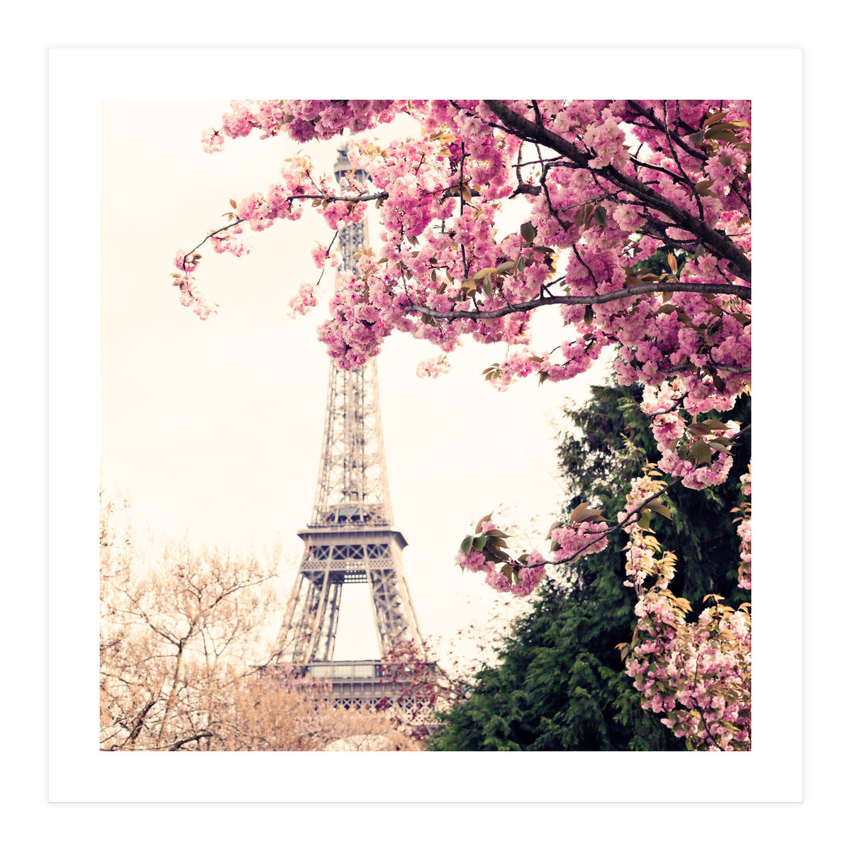 Paris in the Spring (Print Only)